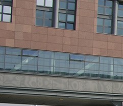 THE DEPARTMENT